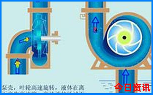 适合夏季带孩子旅游的地方